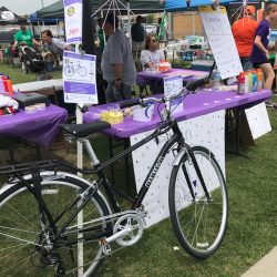 2018 relay for life of joliet